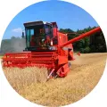 Červený kombajn sklízí obilí na poli u lesa pod modrou oblohou, jedlý obrázek na dort
