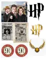 Obdélníkový jedlý obrázek na dort – Harry Potter – Denní věštec