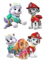 Tři kreslené pejsci z Tlapkové patroly: husky Everest, dalmatin Marshall v hasičské uniformě a kokršpaněl Skye v brýlích, jedlý obrázek na d