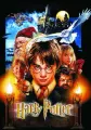 Harry, Ron a Hermiona s hradem Bradavice v noci, sova Hedvika a zlatavé světlo pochodní, jedlý obrázek na dort