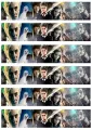 Jedlý obrázek na dort s filmovou koláží Harryho Pottera, Rona, Hermiony, sovy Hedviky a Draca Malfoye v modrých a zlatavých tónech.