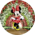 Myška Minnie v červených puntíkovaných šatech stojí uprostřed kulatého květinového oblouku z bílých a červených květů, jedlý obrázek na dort
