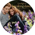 Kulatý jedlý obrázek na dort: Edward a Bella se objímají na louce s fialovými květy, nahoře zlaté logo filmu Breaking Dawn part 2