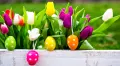 Jedlý obrázek na dort s barevnými tulipány v dřevěném truhlíku a zavěšenými kraslicemi na zeleném pozadí