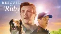 Fenka Ruby stojí vedle lidských přátel na slunném pozadí s nápisem Rescued by Ruby, jedlý obrázek na dort