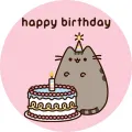 Kreslená kočka Pusheen s narozeninovým dortem a čepičkou, jedlý obrázek na dort na růžovém pozadí