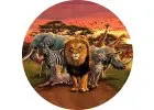 Safari
