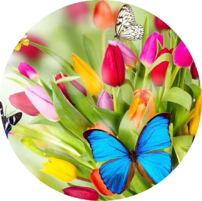 Motýlci – modrý motýl a kytice tulipánů – jedlý papír na dort
