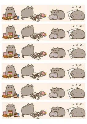 Pusheen – obdélníkový jedlý papír na dort
