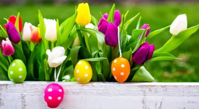 Velikonoce – barevné tulipány v truhlíku – obdélníkový jedlý papír na dort