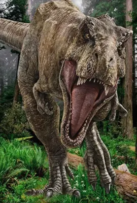 Dinosaur – obdélníkový jedlý papír na dort
