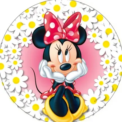Minnie – Kopretiny – jedlý papír na dort