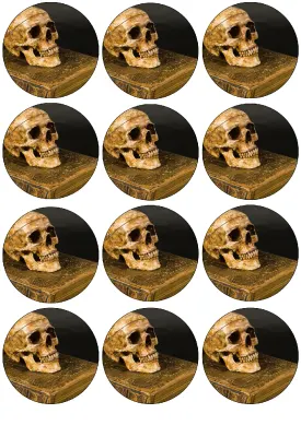 Halloween – lebka na staré knize – jedlá kolečka na cupcakes