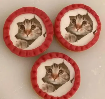 Fotka od zákaznice Blanka – Jedlý papír kočka v papíru kočka, jedlý papír na dort i cupcakes