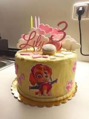 Fotka od zákaznice Alžběta – Jedlý papír PAW PATROL - TLAPKOVÁ PATROLA v nabídce jedlý papír i fondán