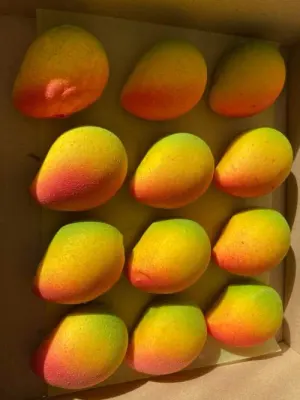 Fotka od zákaznice Sabina – Silikonová forma na pečení/na mražené dezerty Mango (na 12 ks) ▹