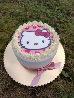 Fotka od zákaznice Kateřina – Jedlý papír HELLO KITTY máme jako jedlý papír i fondán