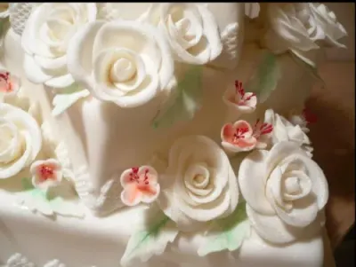 Fotka od zákaznice Jana – Hořké čokoládové termostabilní kapky 200g - Cake Masters | Skvělé pro Váš domácí dort