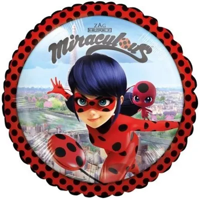 Foliový balonek Anagram s motivem Kouzelné berušky a černého kocoura o průměru 43 cm k dětské dekoraci