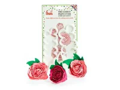 Sada PME vypichovačů na pivoňky Easiest Peony Ever pro tvorbu cukrových květů z modelovací hmoty