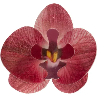 Květy z jedlého papíru ve tvaru orchideje v růžové barvě, 10 kusů na zdobení dortů a dezertů