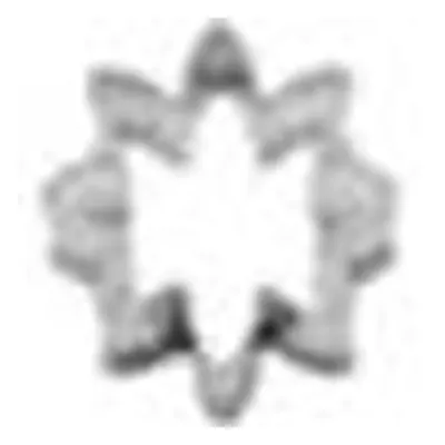 Vykrajovátko kopretina 2,5x2,5 cm - Smolík