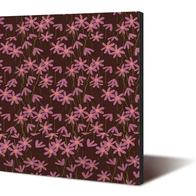 Transfer fólie na čokoládu Daisy Rose 40 x 25 cm