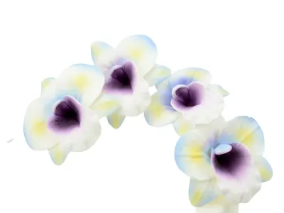 Cukrová květina orchidej, 16 cm - Cake Masters