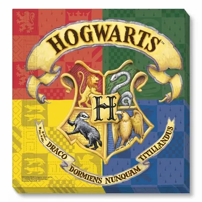Papírové ubrousky Harry Potter 33 x 33 cm, 20 ks