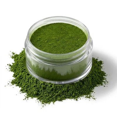 Jedlá prachová barva mechově zelená Moss Green 2,5 g