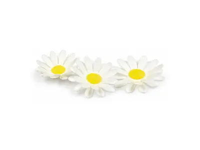 Květy z jedlého papíru bílé Margherita 4,5 cm, 100 ks