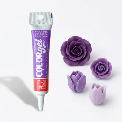 Gelová barva Modecor Viola Del Pensiero fialová 20 g