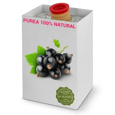 Ovocné pyré černý rybíz Cassis 100 % 1,5 kg