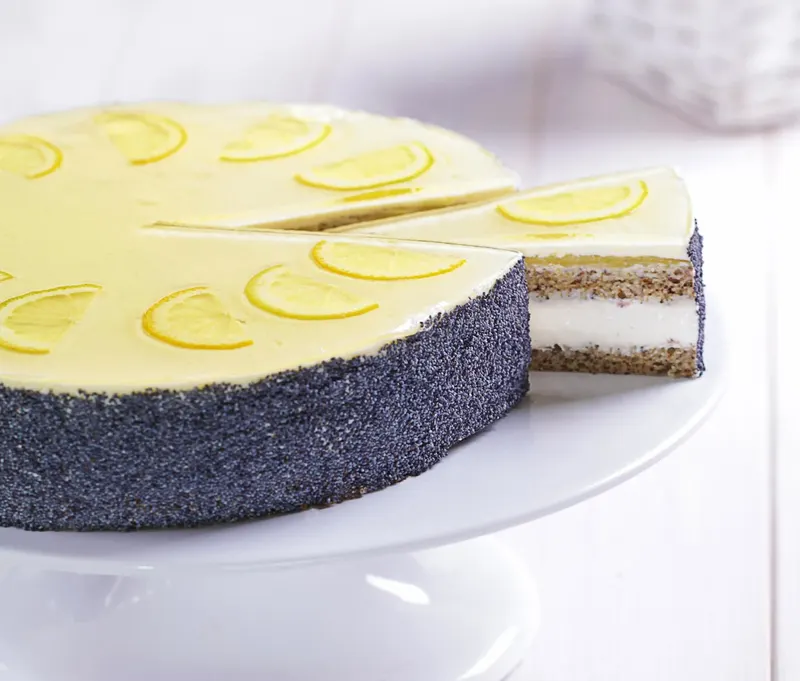 Ztužovač Zeesan s příchutí tvarohu v balení 500 g od značky Zeelandia na přípravu stabilního tvarohového krému na dorty