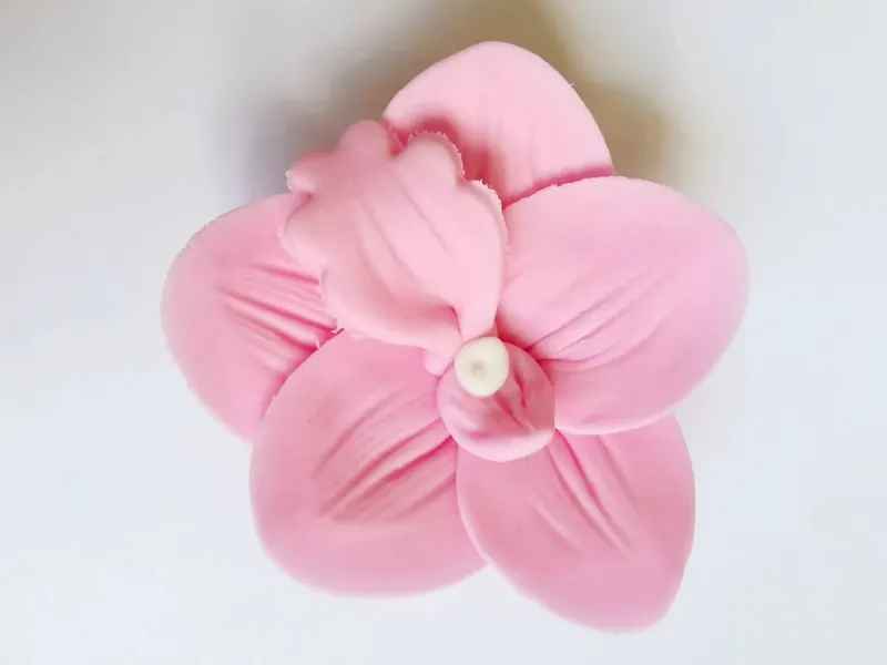 Cukrové květy orchideje v růžové barvě, sada 9 kusů určená k zdobení dortů