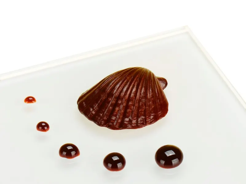 Tekuté univerzální potravinářské barvivo Cake Masters v čokoládové barvě, objem 50 ml, k barvení krémů, polev a těst