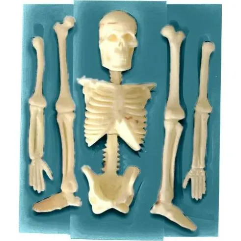Silikonová formička ve tvaru kostlivce o rozměru 11 x 9,5 cm pro modelování fondánu a marcipánu