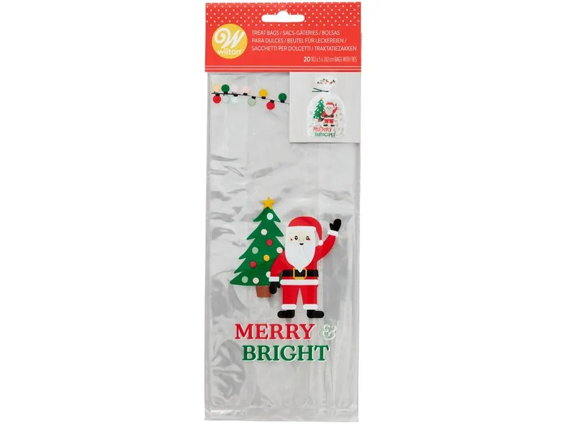Dárkový sáček na cukrovinky vánoční motiv Merry Bright 20 ks