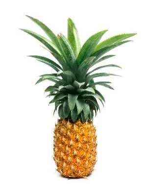 Ochucovací pasta Joypaste ananas 1,2 kg