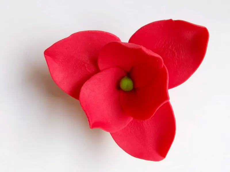 Cukrová magnolie červená, průměr 7 cm, 9 ks
