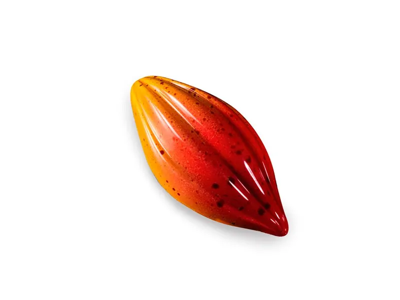 Polykarbonátová forma na pralinky kakaový bob, 21 dutin