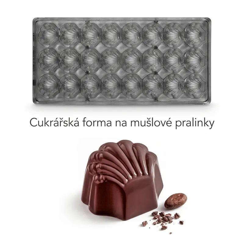 Forma na pralinky polykarbonátová mušle 14 g, 3x8 tvarů